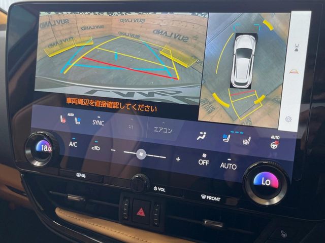 Lexus NX 4