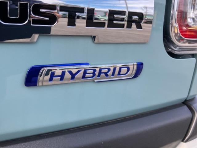 Suzuki Hustler 10