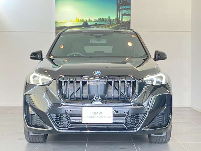 BMW X1 7