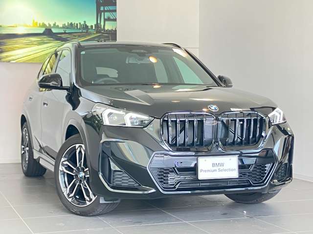 BMW X1 9