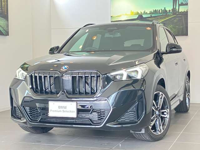 BMW X1 10