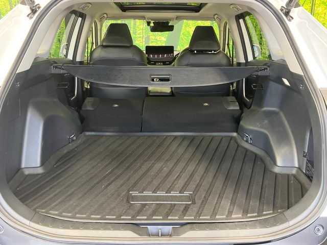 Toyota RAV4 10