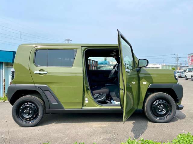 Daihatsu Taft 11