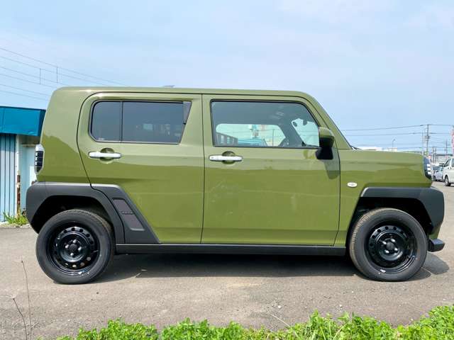 Daihatsu Taft 10