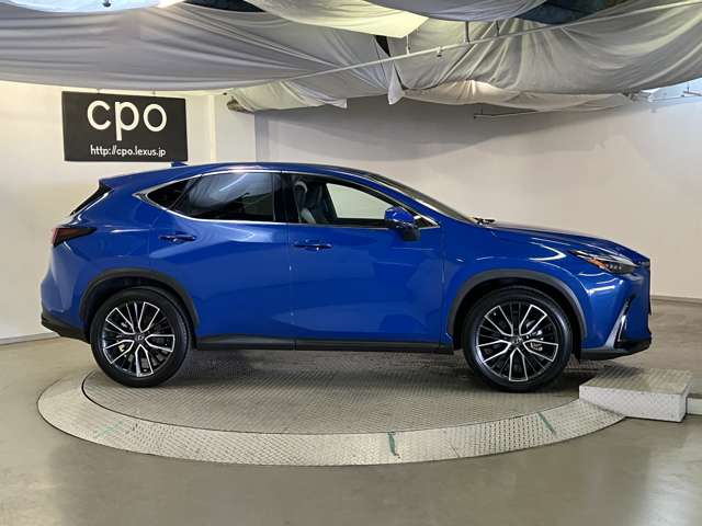 Lexus NX 11