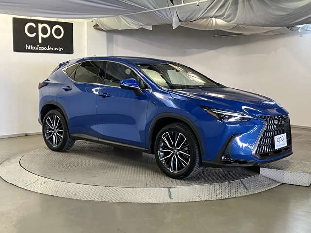 Lexus NX 12