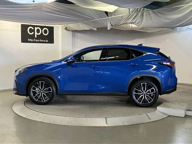 Lexus NX 8
