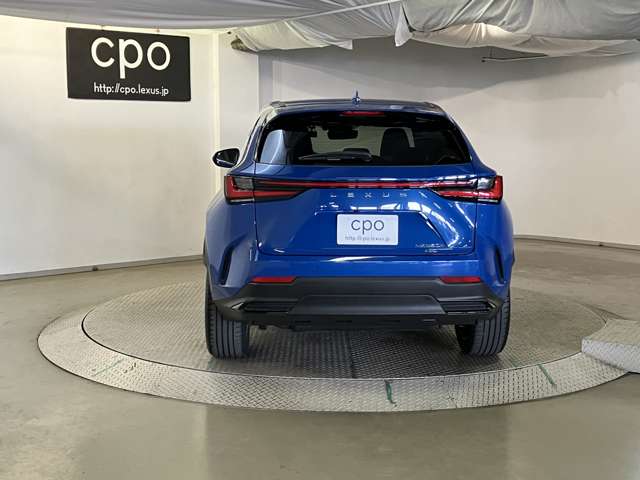Lexus NX 9