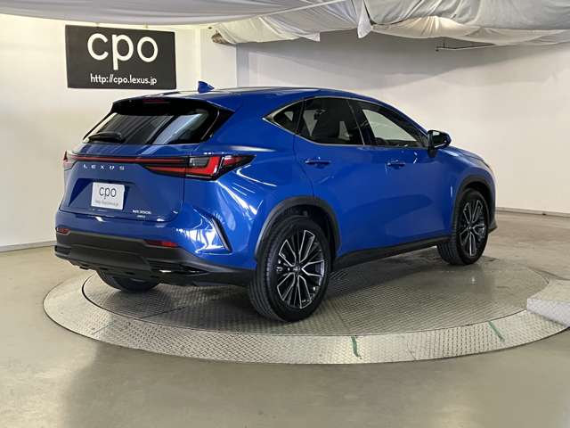 Lexus NX 10