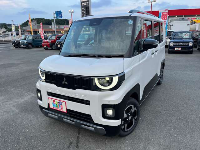 Mitsubishi Delica Mini 11