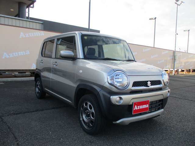 Suzuki Hustler 4