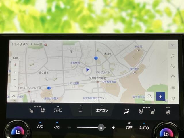 Lexus NX 4
