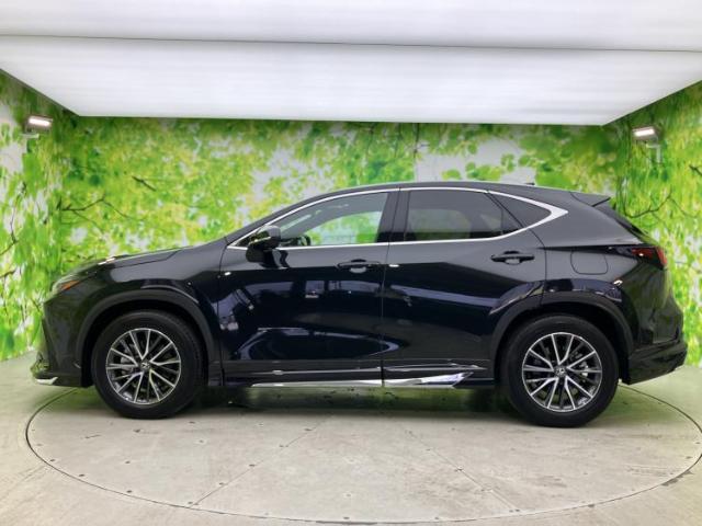 Lexus NX 5