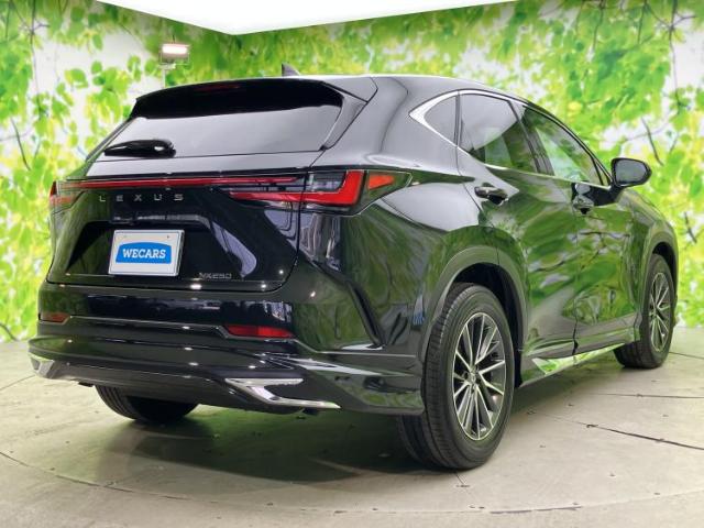 Lexus NX 6