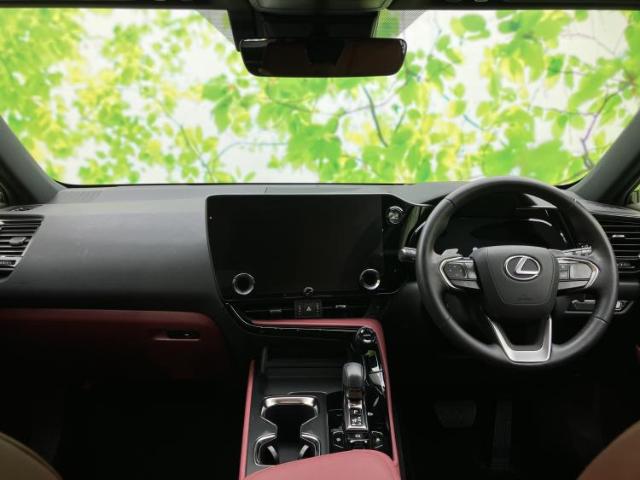 Lexus NX 10