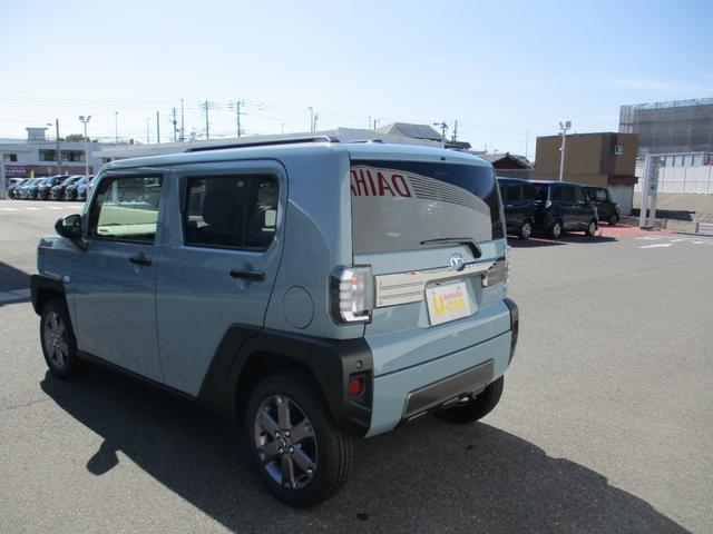 Daihatsu Taft 11