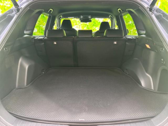 Toyota RAV4 PHV 10