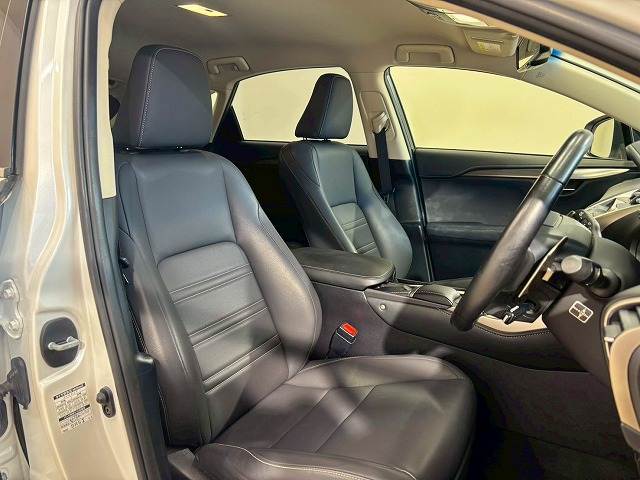 Lexus NX 12