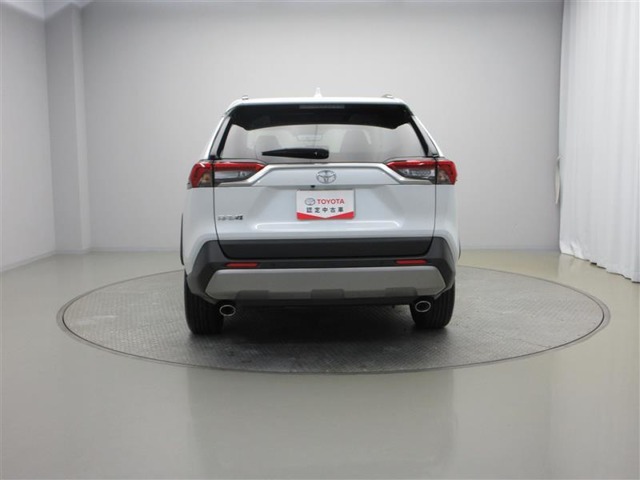 Toyota RAV4 10