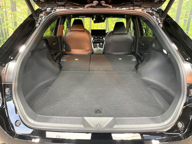 Toyota Harrier 10