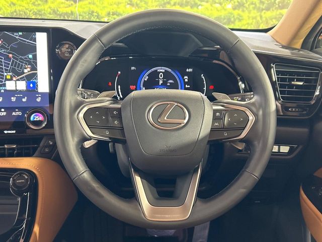 Lexus NX 11