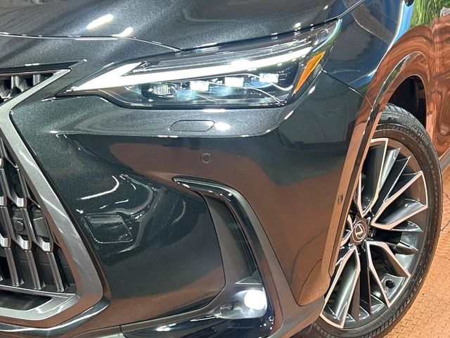 Lexus NX 12
