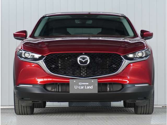 Mazda CX-30 9