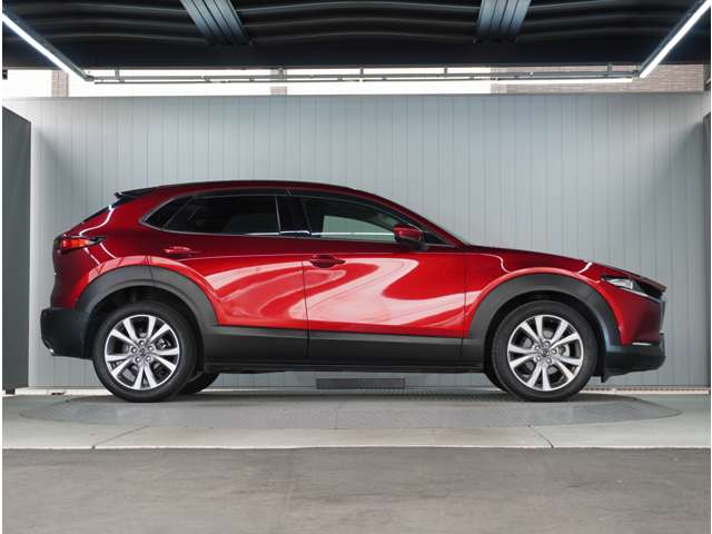 Mazda CX-30 10
