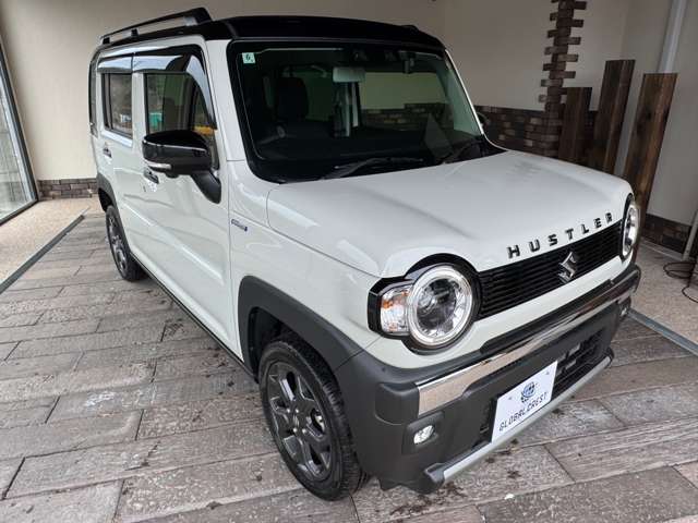 Suzuki Hustler 5