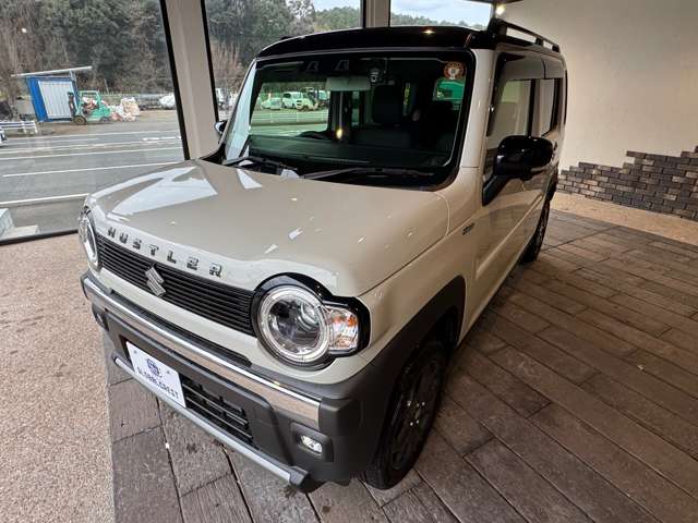 Suzuki Hustler 8