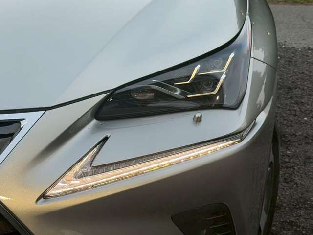 Lexus NX 7