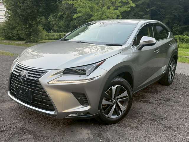 Lexus NX 9