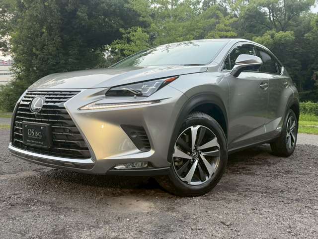 Lexus NX 10