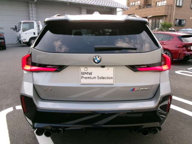 BMW X1 10