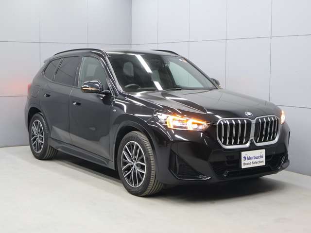BMW X1 8
