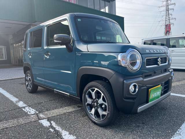 Suzuki Hustler 11