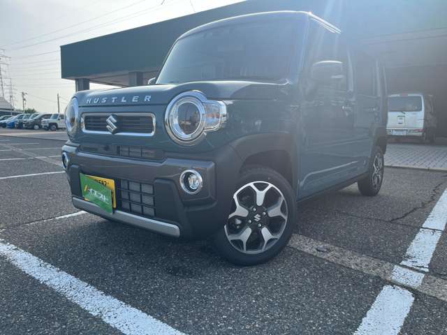 Suzuki Hustler 9