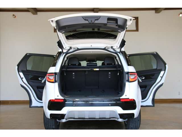 Land Rover Discovery Sport 8