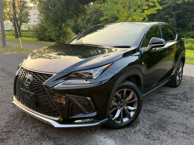 Lexus NX 11