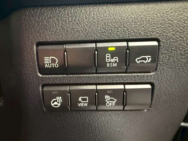 Lexus NX 4