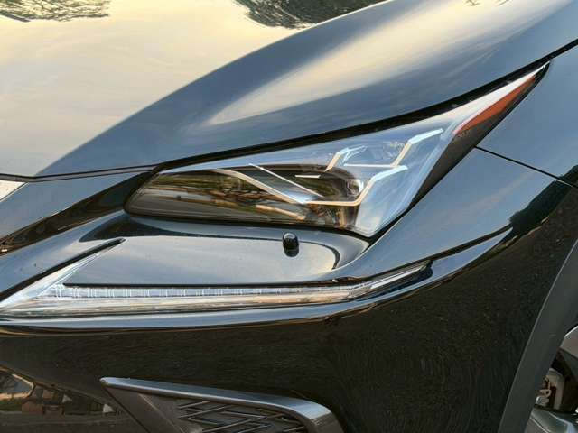 Lexus NX 8