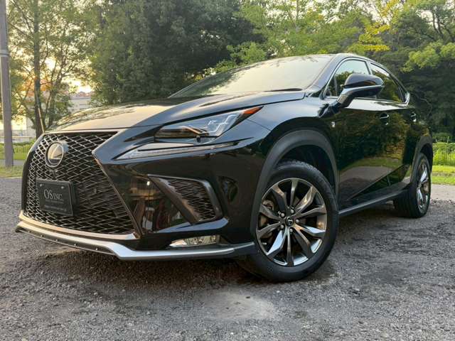 Lexus NX 10
