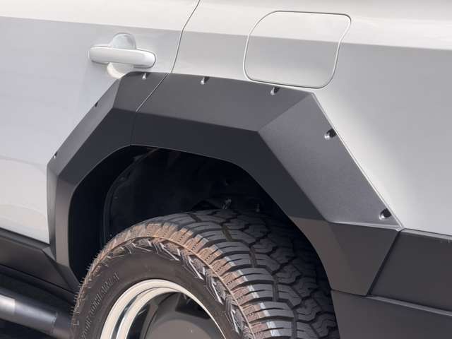 Toyota Land Cruiser 250 4