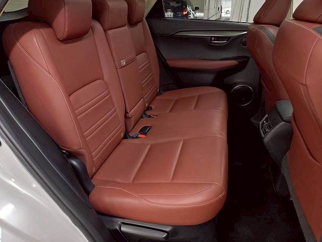 Lexus NX 11