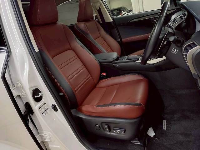 Lexus NX 10