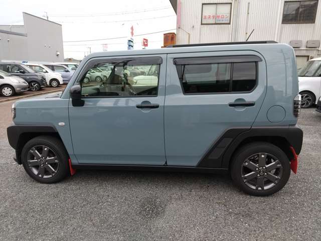 Daihatsu Taft 10
