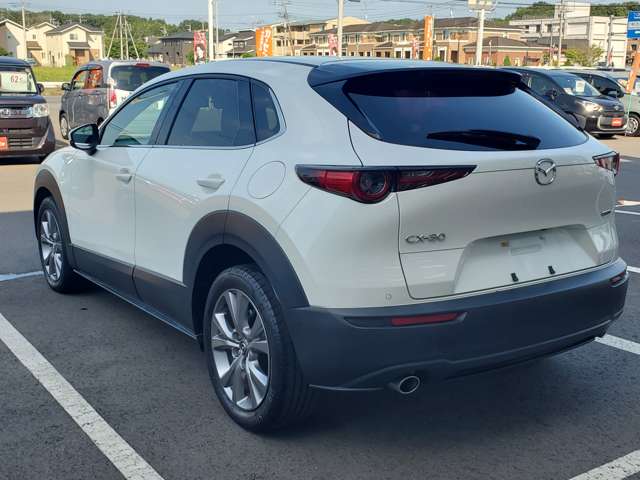 Mazda CX-30 11