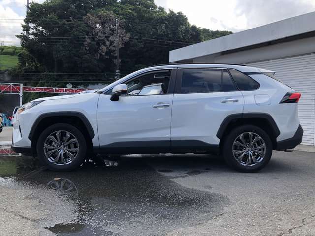 Toyota RAV4 10