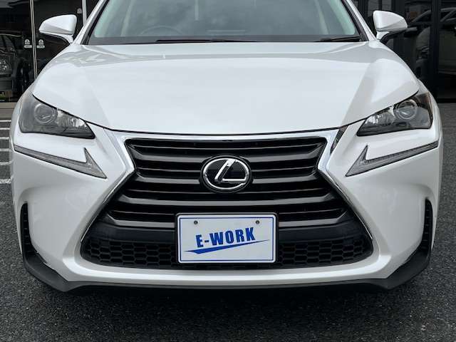 Lexus NX 11