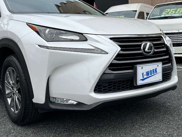 Lexus NX 12